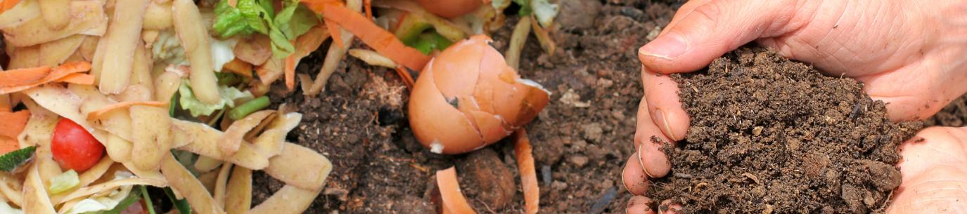 food scraps and hands holding compost, organic fertilizers for your climate victory garden