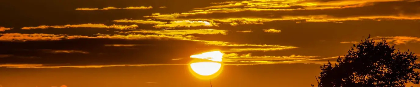 Image: sun setting over windmills. Article: Dark Cloud Looms Over Amazon’s Innovation Challenge
