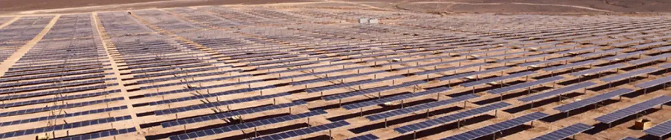Solar panels in rows in the desert
