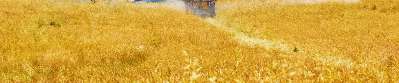 tractor spraying chemicals in yellow field
