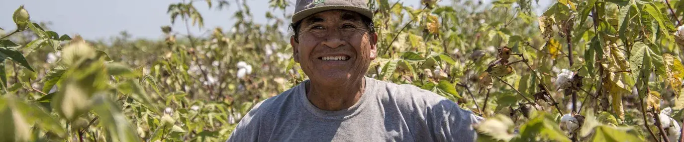 organic cotton farmer in Peru with his hands on his hips, smiling. He is wearing a gray hat that says eco-cotton and is surrounded by green leaves.