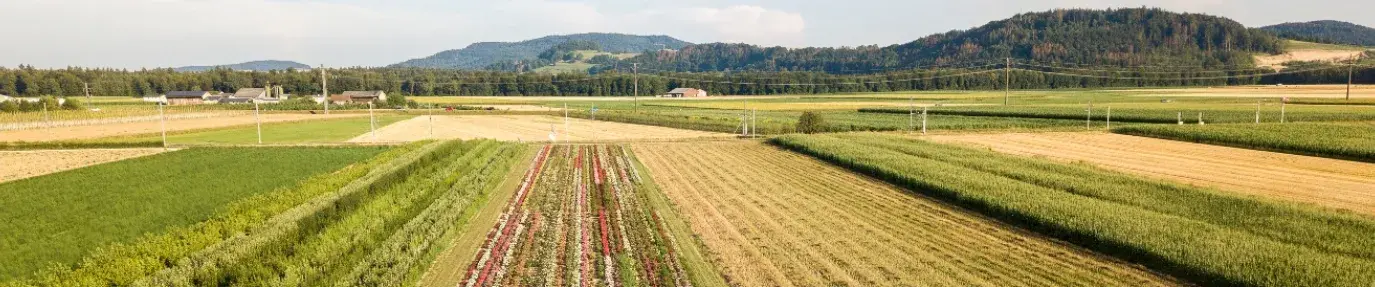 Image: diverse crops on a farm. Title: Methods of Regenerative Agriculture #1: Perennial Plants & Diverse Crops