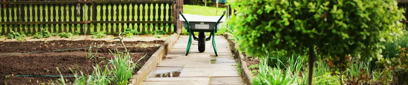 A wide shot of a wheelbarrow on a stone sidewalk. On the right are shrubs and grass, on the left is soil for a garden. Climate Victory Gardens.