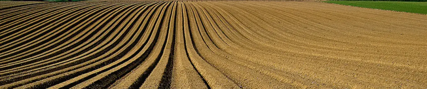 Image: field ready for planting. Topic: Industrial Agriculture