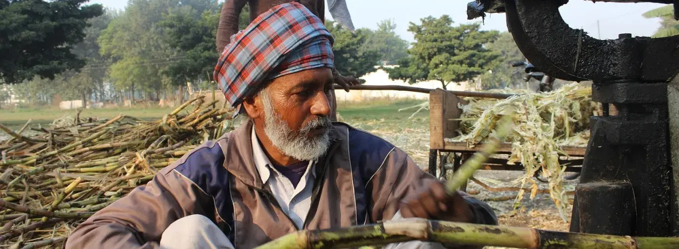 man holding sugar cane 