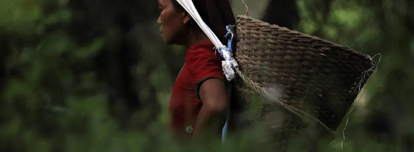 Image: woman farmer with basket on her back. Topic: Socially Responsible Mutual Funds That Empower Women