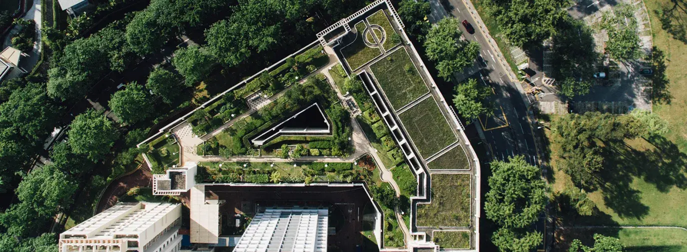 a green roof in Singapore