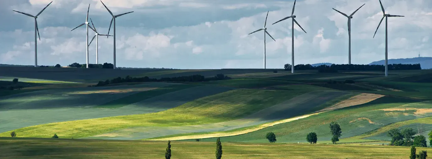 Image: Windmills by Dmitry Anikin. Topic: clean energy is one way to reverse climate change