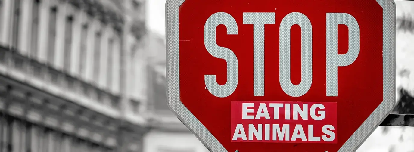 "Stop eating animals" on a stop sign, plant-based investing is a growing trend