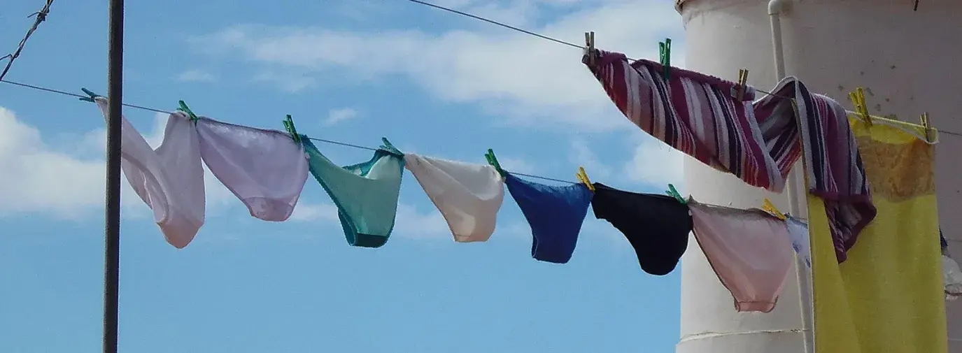 Image: underwear hanging on a line. Title: Why You Should Wear Organic Underwear