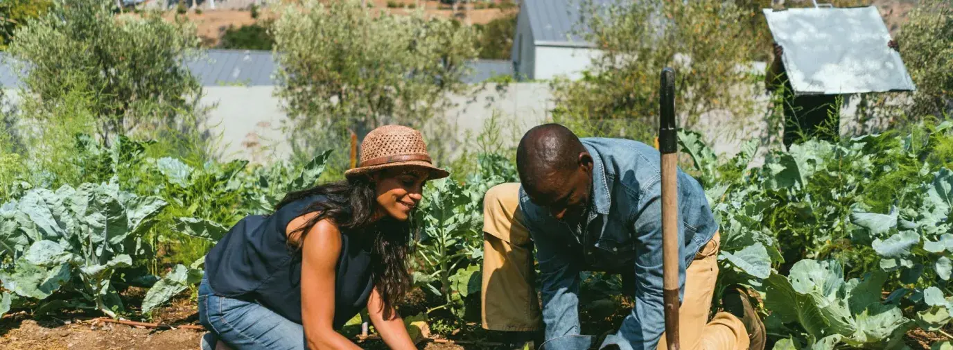 Image: Rosario Dawson and Ron Finley gardening. Title: Rosario Dawson And Ron Finley Promote Effort To Go Beyond Sustainability And Become “Regenerative” With Climate Victory Gardens Video