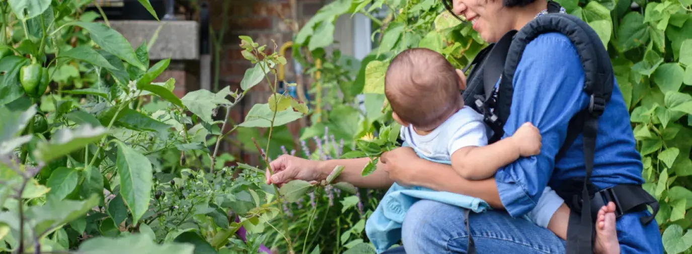 NIcky Schauder weeding with her child in the tiny garden