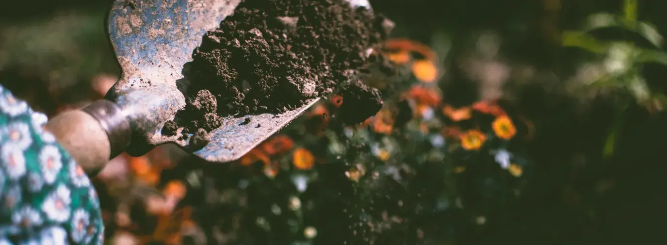 Image: shovel of soil in garden. Title: Soil Testing in your Climate Victory Garden 