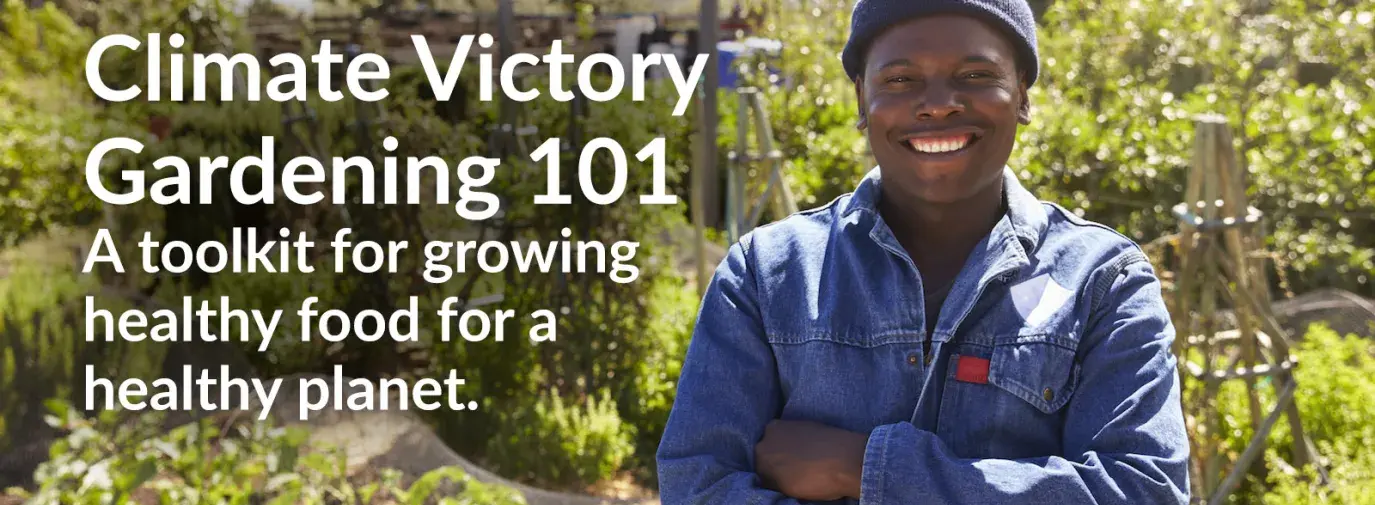 Climate Victory Gardening 101