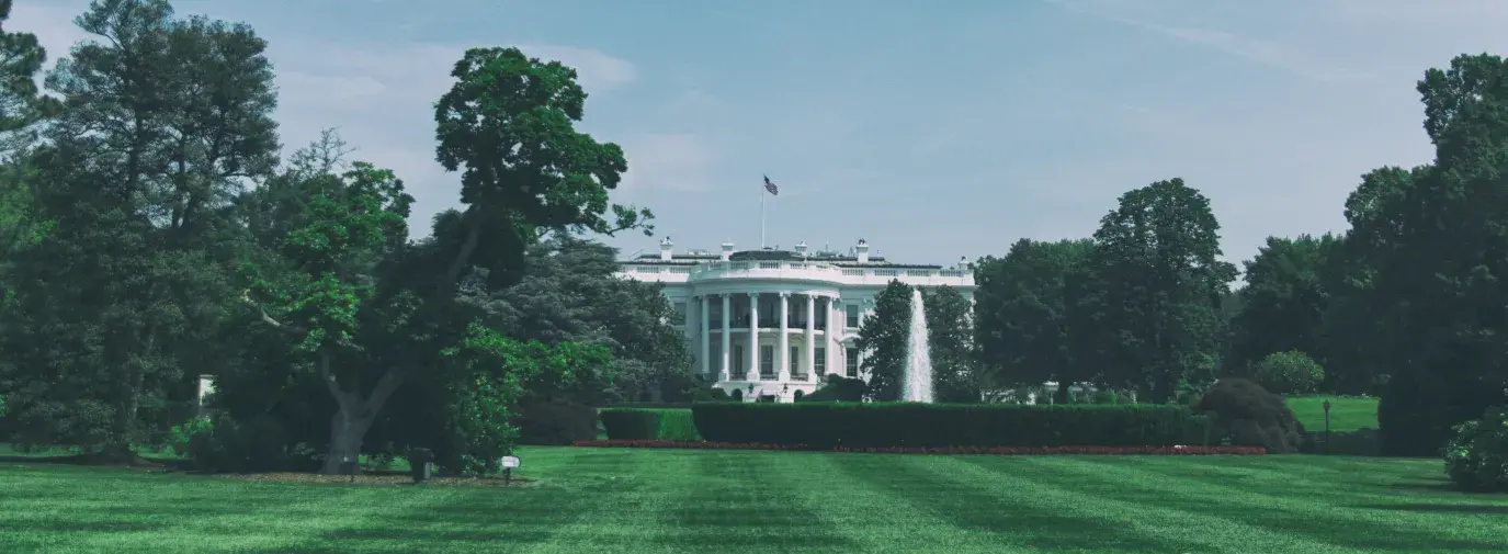 white house lawn and surrounding trees; the administration should build back greener