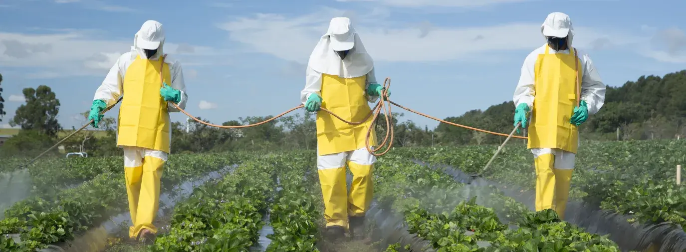 Farmworkers spraying pesticides