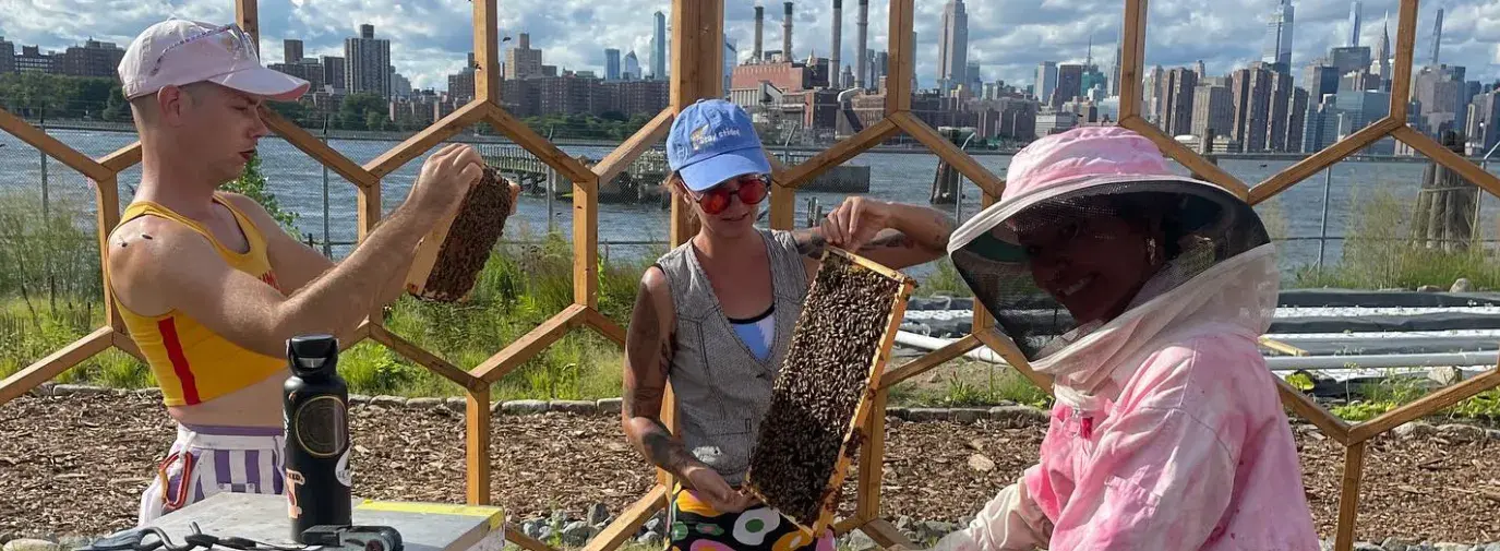 three people handling beehives outside NYC