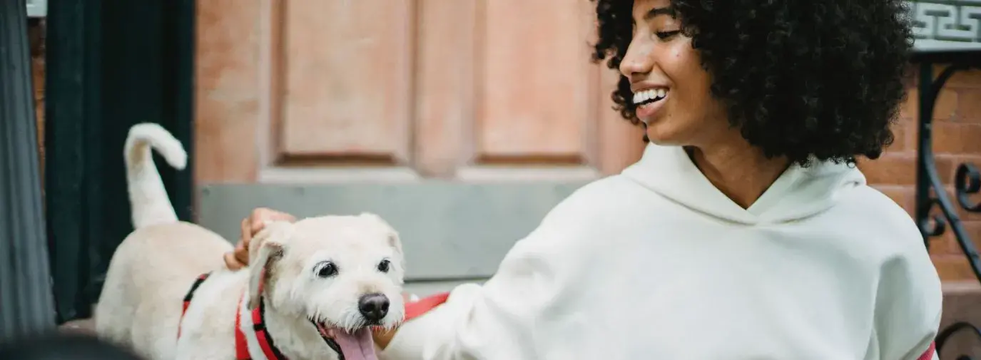 young Black woman taking a cute white terrier dog on a walk