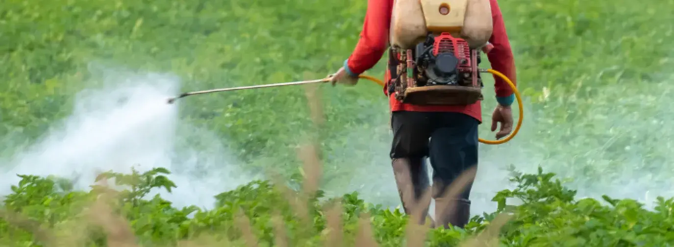 A farmworkers spraying harmful pesticides in green field