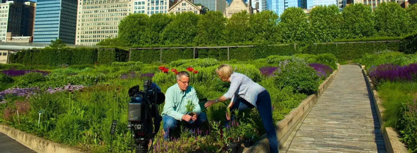 Two adults, a white man and white woman for GreenMark Media, kneel in a garden with the Chicago skyline behind them. A video camera is set up recording them.