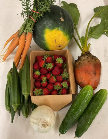 Example weekly CSA