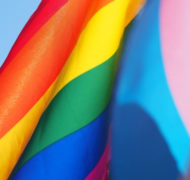 Rainbow Flag by Cecilie Johnsen