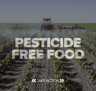 Pesticide Free Food