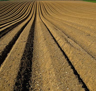 Image: field ready for planting. Topic: Industrial Agriculture