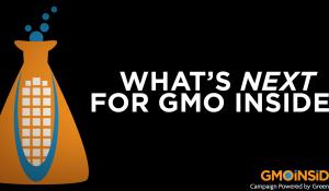 WHat's Next for GMO Inside?