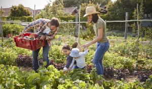 How To Start A Climate Victory Garden Green America