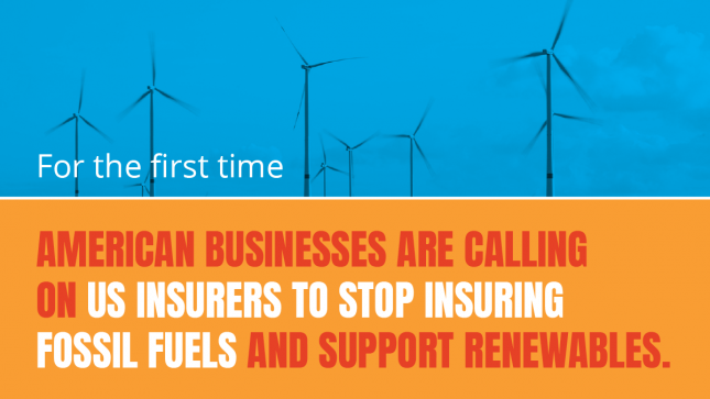 For the first time, American businesses are calling on US insurers to stop insuring fossil fuels and support renewables.