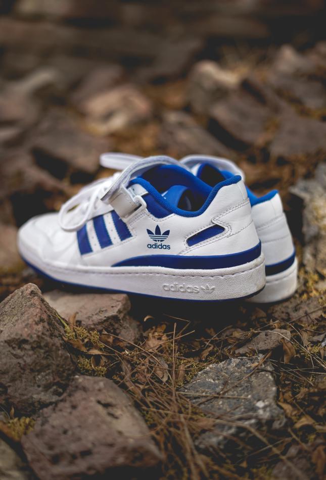 A pair of blue and white Adidas shoes on rocks and pine needles outside; the company has committed to 100% sustainable cotton.