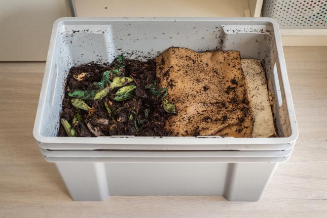 indoor composting bin showing food scraps and soil