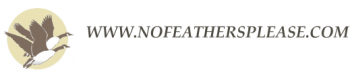 NoFeathersPlease.com logo