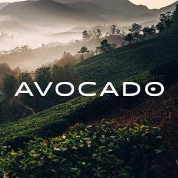 avocado green mattress facebook logo
