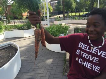 young man holds carrots in school climate victory garden