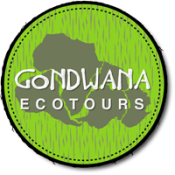 Gondwana Ecotours offers sustainable trips to select destinations around the world.