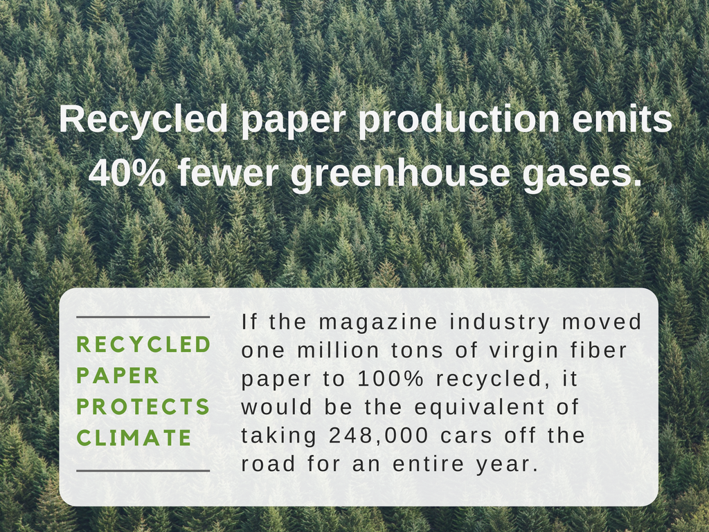 If all paper cannot be made from 100% recycled fiber, what should we use?